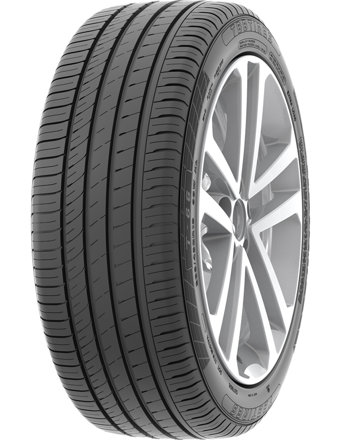 T-66 高性能輪胎